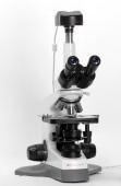 Тринокулярный микроскоп со светодиодной подсветкой Micros МС 100 (TXP)