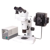 Стереомикроскоп Bestscope BS-3060F
