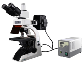 Биологический микроскоп Bestscope BS-2030F