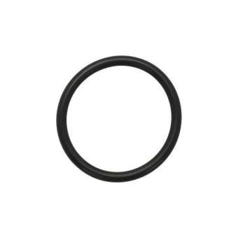 Вакуумное уплотнительное кольцо MKS 100314006