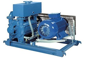 Насосы вакуумные Robuschi (Робуши)